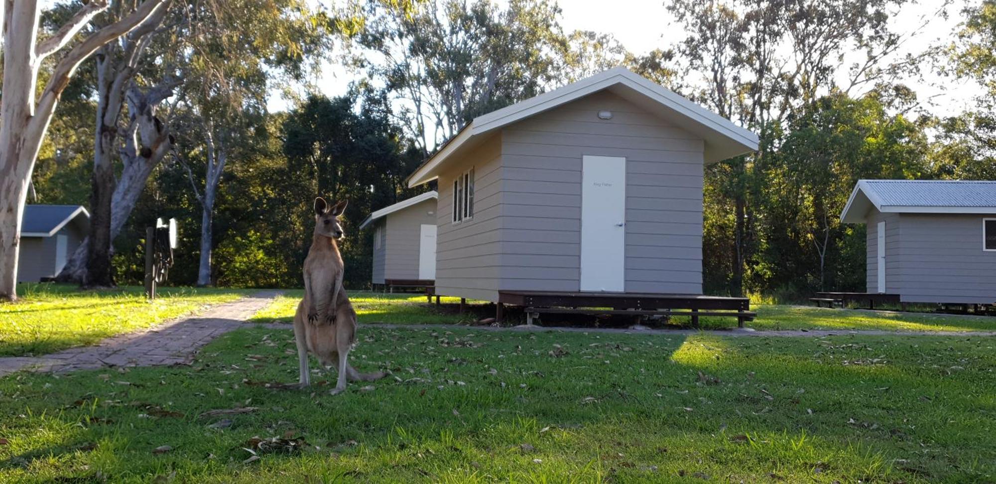 Kangarooms Noosa Everglades Cootharaba Exterior foto